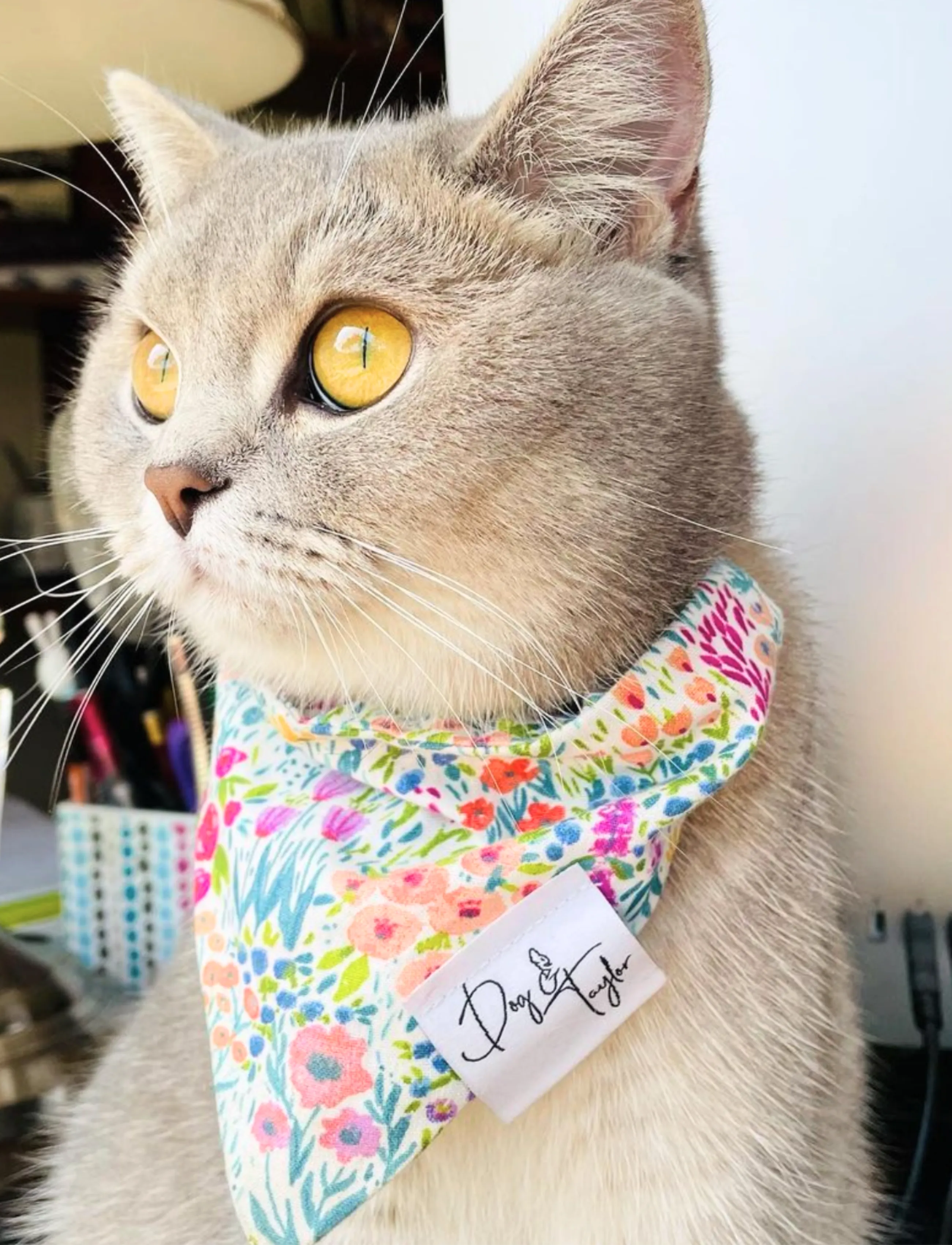 Spring Flowers Bandana