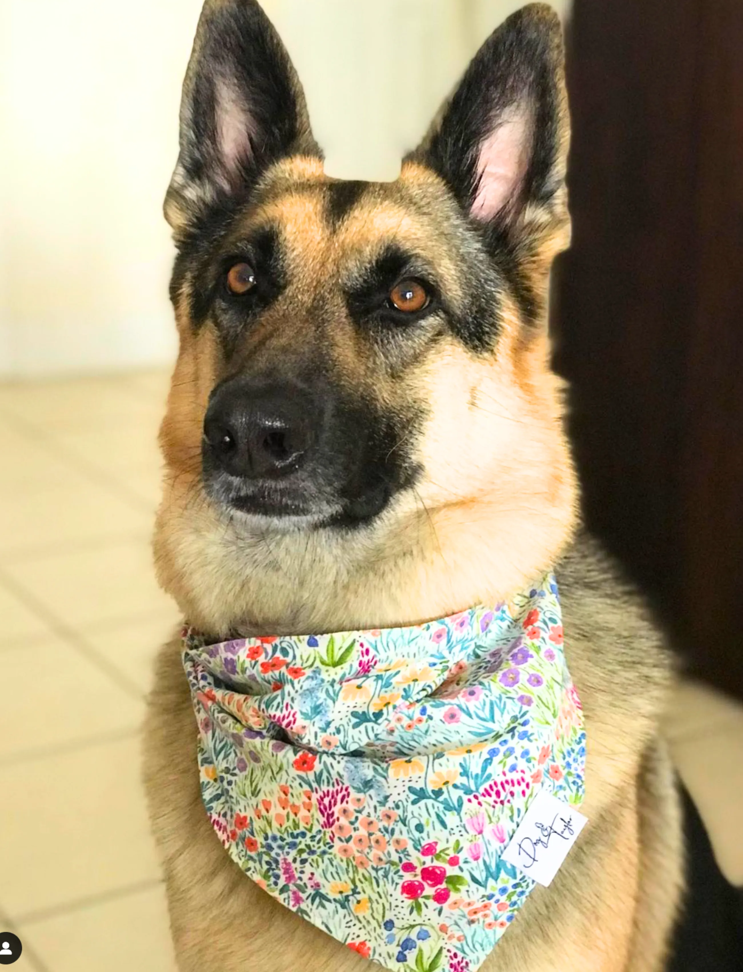 Spring Flowers Bandana